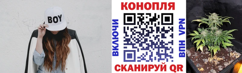 Купить наркоту Грязи Каннабис  АМФ  Галлюциногенные грибы  APVP  Гашиш  МЕФ  COCAIN 