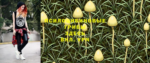 не бодяженный Алзамай
