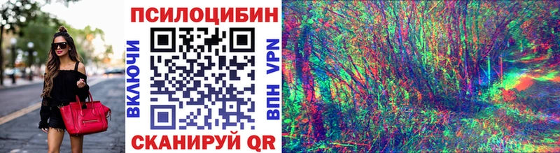 Псилоцибиновые грибы Psilocybine cubensis  где купить наркоту  площадка какой сайт  Грязи 