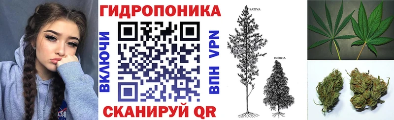 ОМГ ОМГ ссылка Грязи Шишки марихуана VHQ